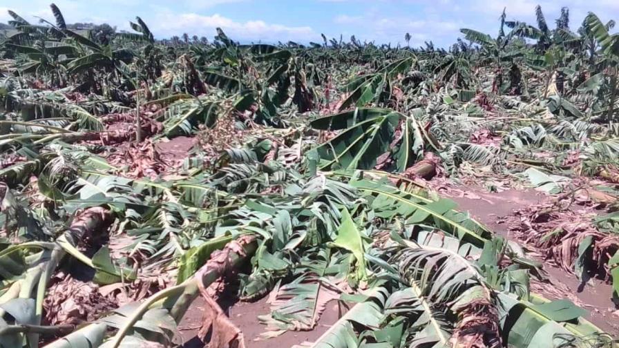 Tormenta Franklin “hizo más daño después de que se fue” de la RD, según ministro de Agricultura