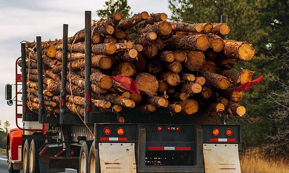 Multan con RD$90 mil agricultor taló y transportó 23 trozos pinos