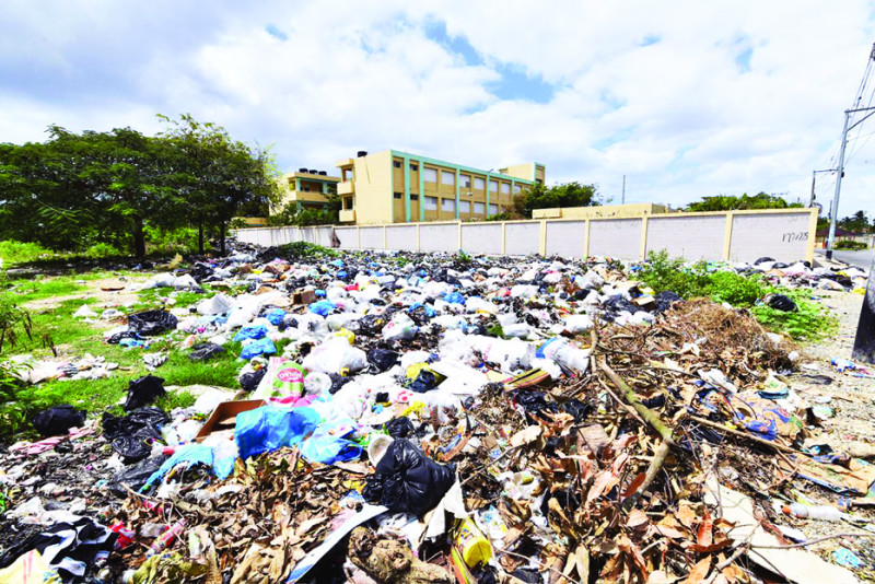 La basura ahoga a Boca Chica