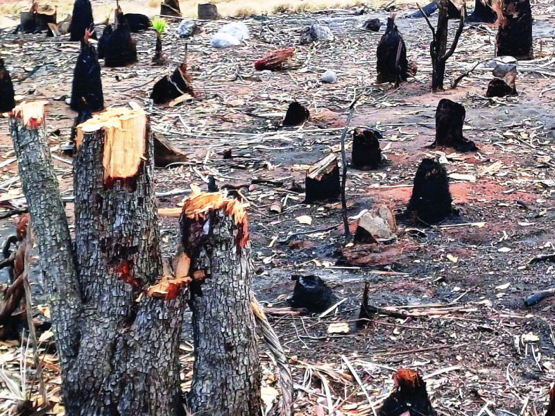 Baní defenderá Dunas y luchará para que sea un parque nacional bien protegido