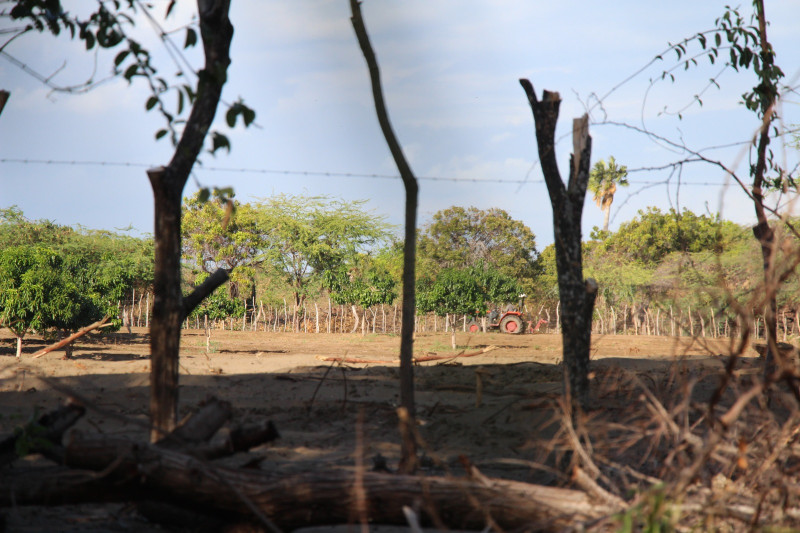 Se amplía la devastación sin frenos ni límites de las Dunas de Baní