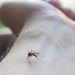 Casos de malaria se multiplican con dos brotes activos