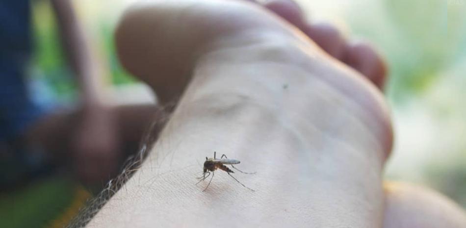 Casos de malaria se multiplican con dos brotes activos