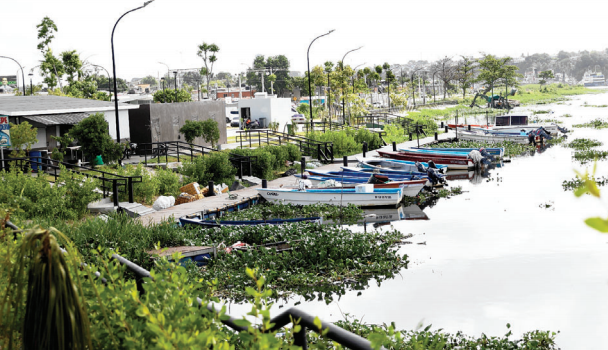 Nuevo Domingo Savio: aguas residuales, cañadas y basura