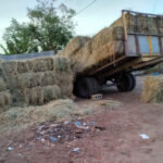 Niño de seis años muere aplastado por un trailer en Loma de Castañuelas