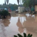 "Nos salvamos de chepa", dominicanos cuentan cómo sortearon las inundaciones en Valencia