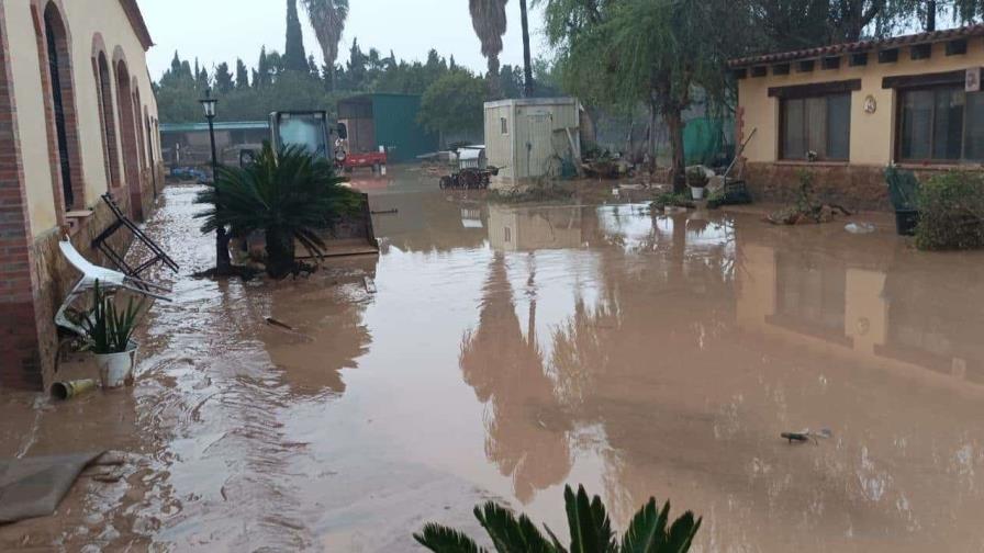 "Nos salvamos de chepa", dominicanos cuentan cómo sortearon las inundaciones en Valencia