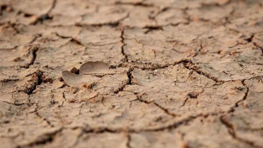 Neoyorquinos llamados a ahorrar cada "gota de agua" en medio de peor sequía en 150 años