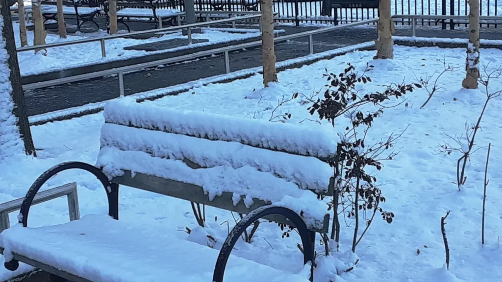 Se reanimó el sueño de una “blanca navidad” en la ciudad de Nueva York; la última fue hace 15 años