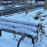 Se reanimó el sueño de una “blanca navidad” en la ciudad de Nueva York; la última fue hace 15 años