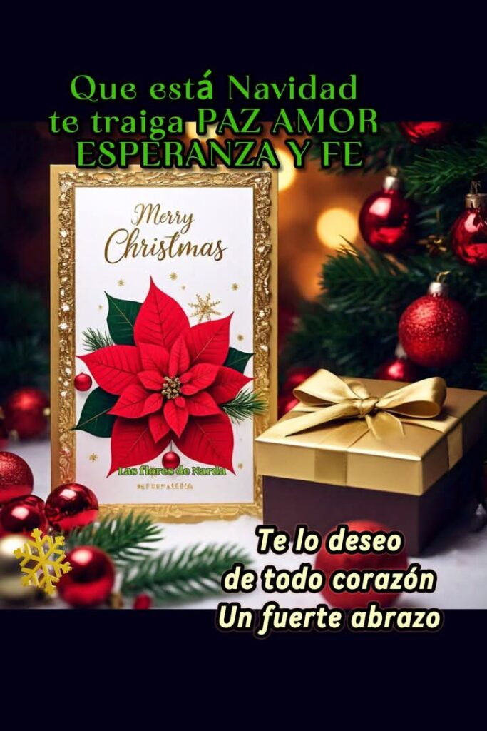 Feliz Navidad