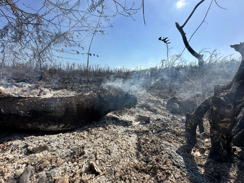 Bomberos y Medio Ambiente logran controlar incendios de Guayacanes