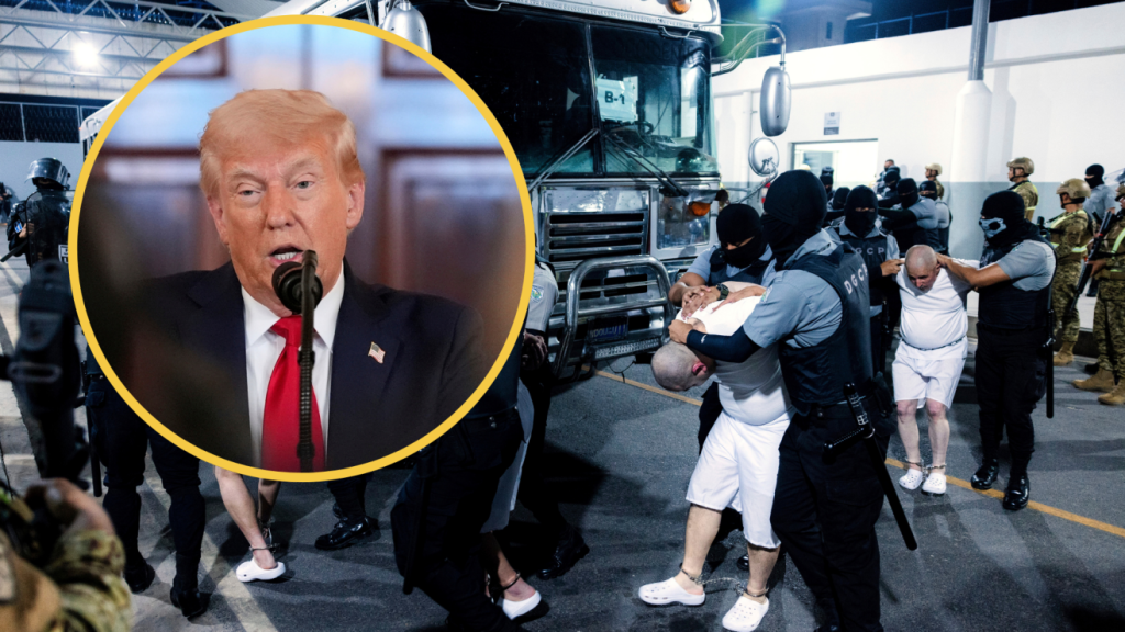 Trump defendió las deportaciones masivas de inmigrantes: “Fui elegido para sacarlos de aquí”