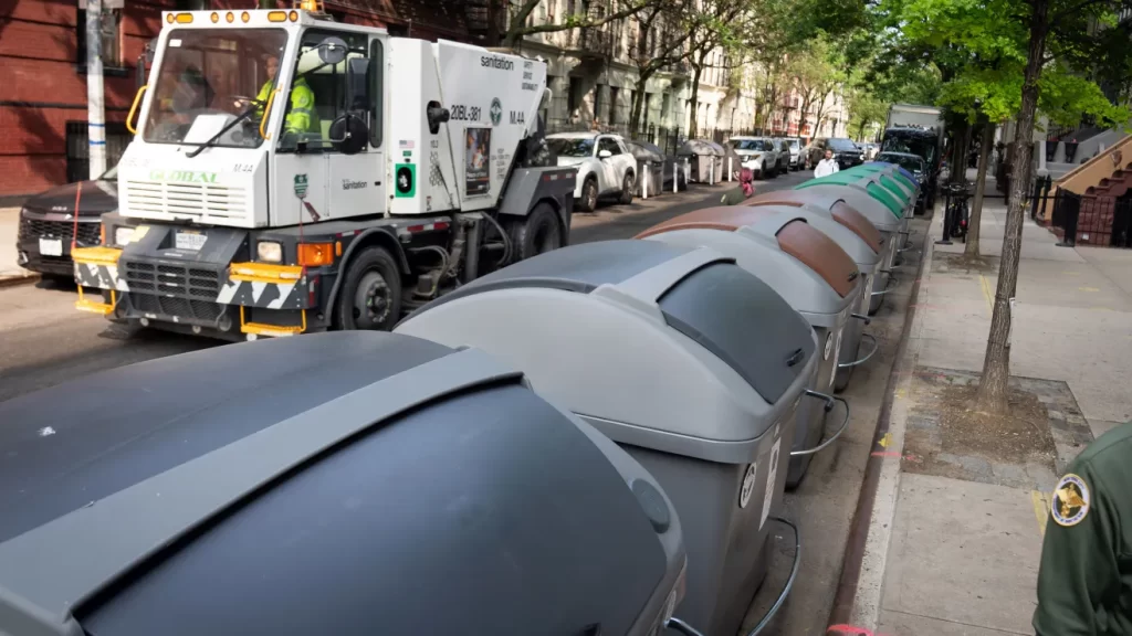 Pese a críticas por batalla contra ratas en NYC anuncian victoria contra roedores en Harlem